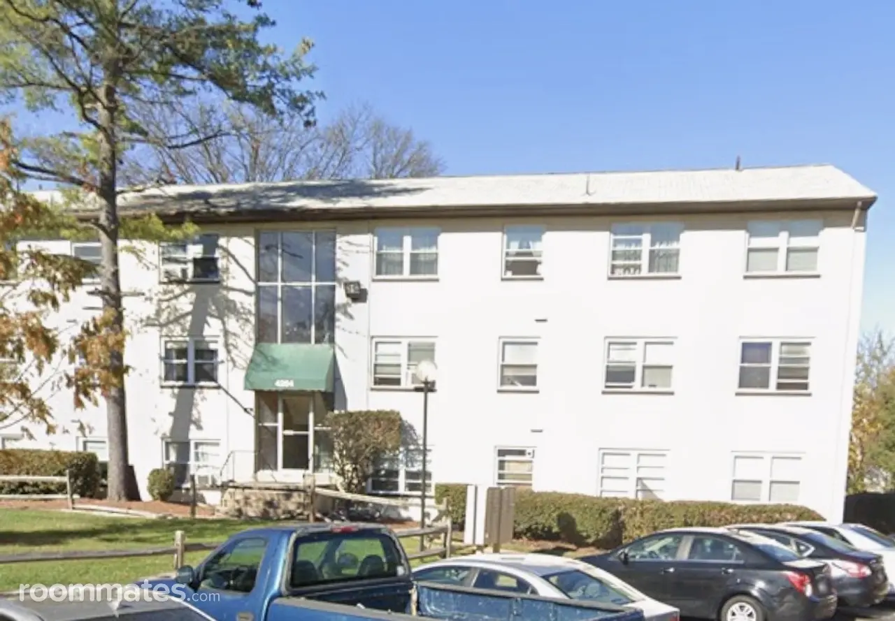 Profile photo 2 of 11