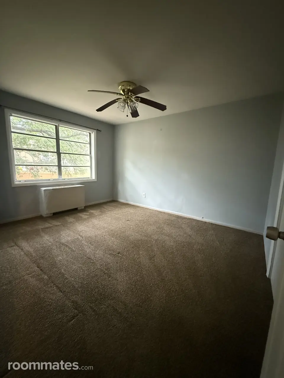 Profile photo 10 of 11