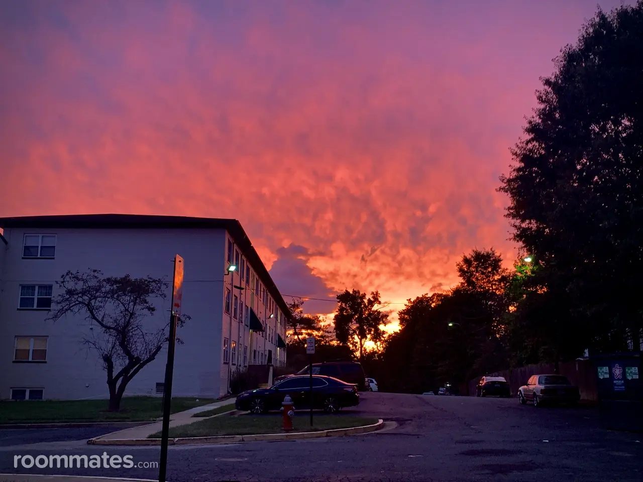 Profile photo 1 of 11