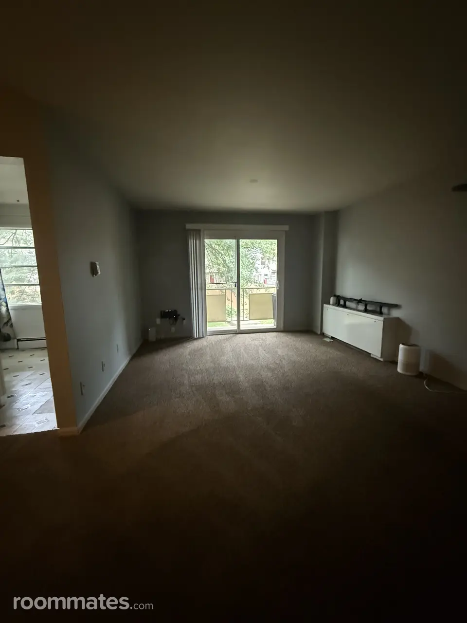 Profile photo 7 of 11