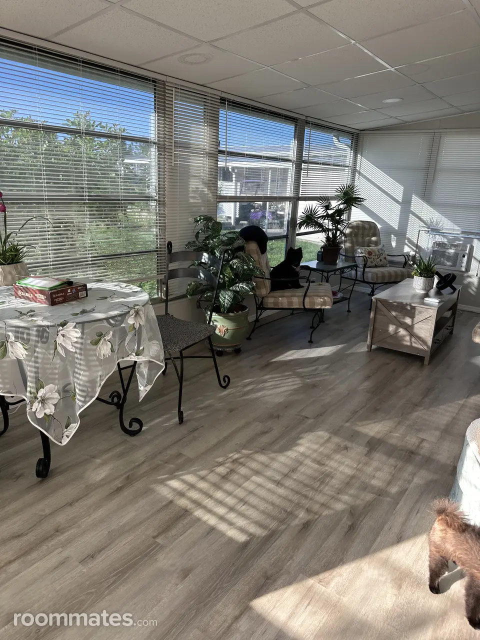 Profile photo 7 of 8