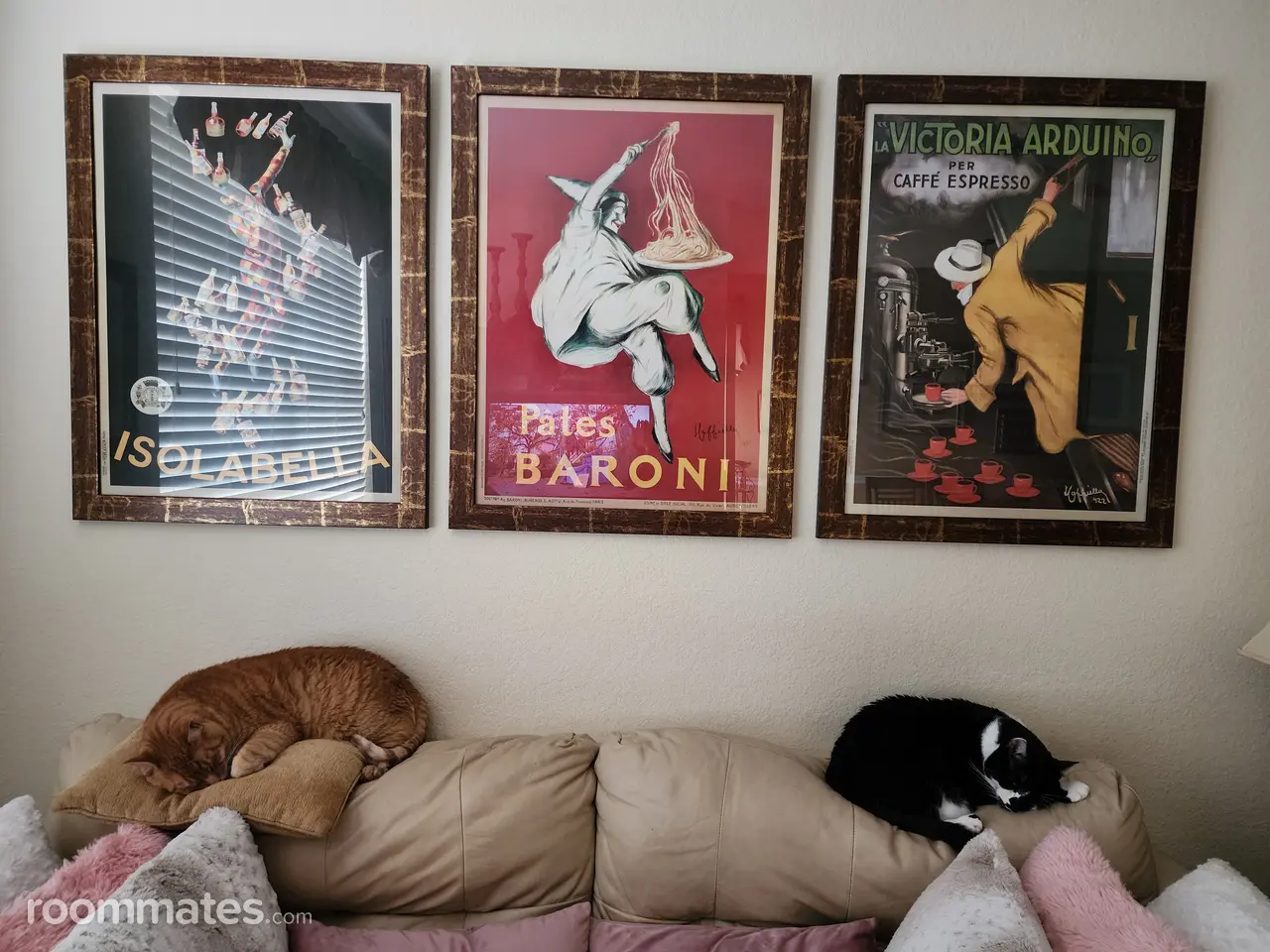 Profile photo 3 of 16