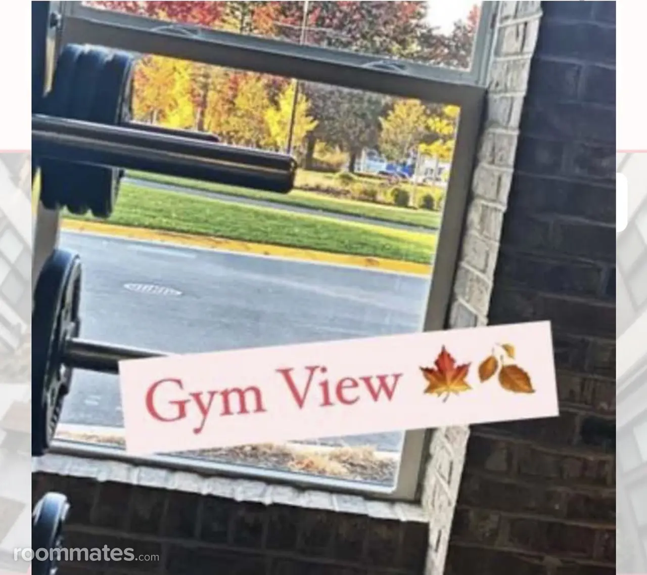 Profile photo 6 of 9