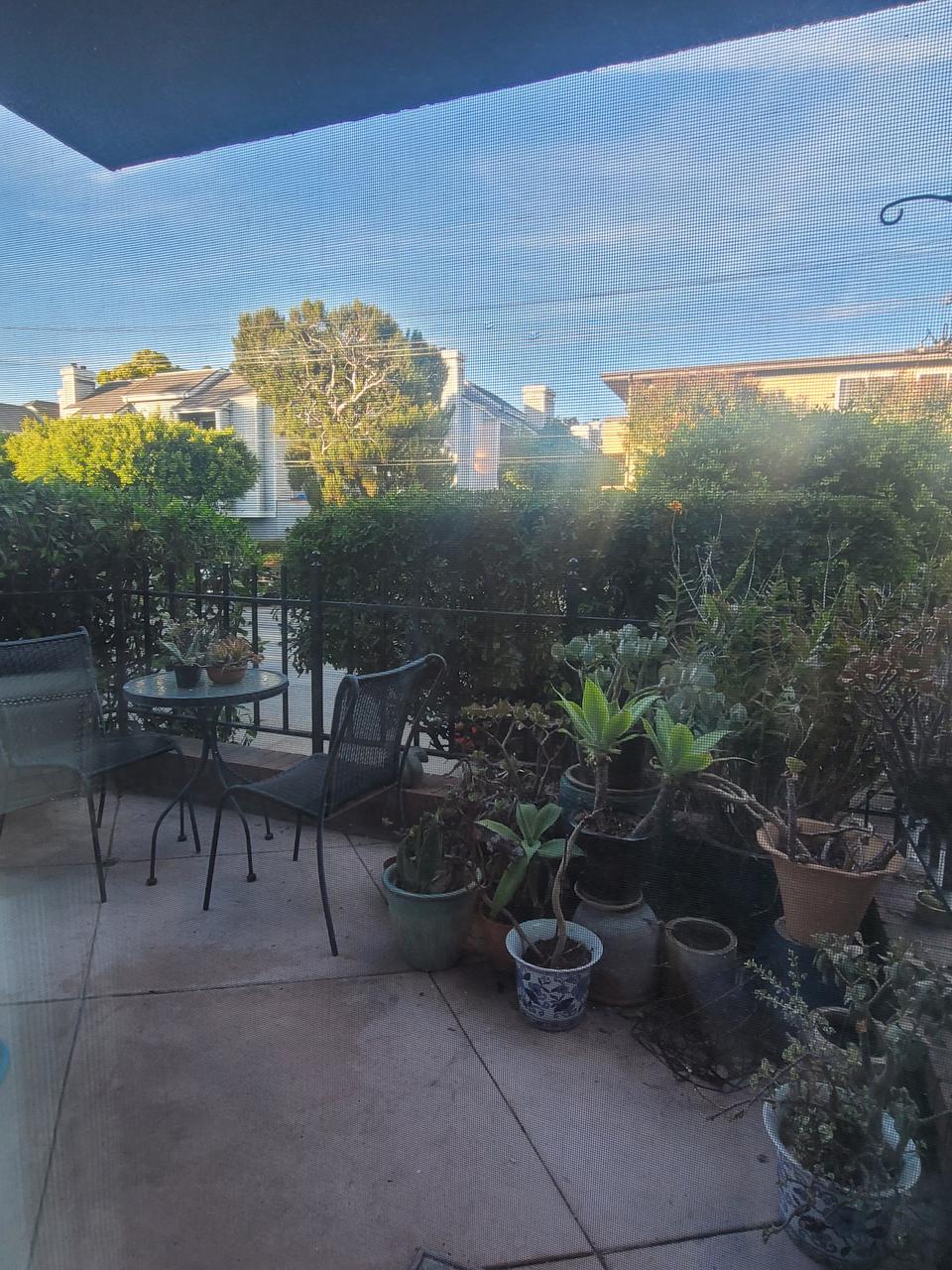 Profile photo 8 of 11