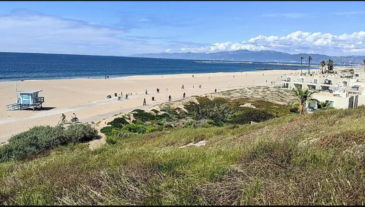 Profile photo 1 of 11