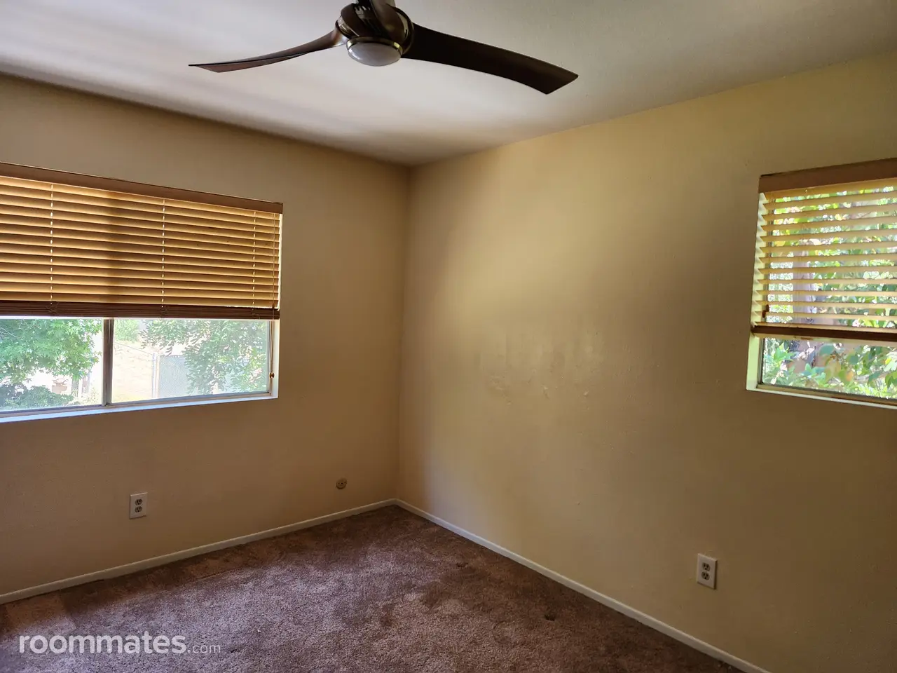 Profile photo 1 of 10