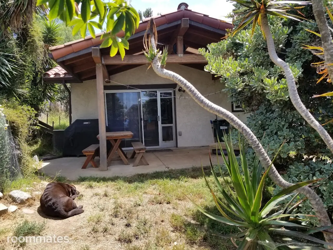 Profile photo 6 of 10