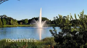 Room for rent in Clearwater, FL $900, house