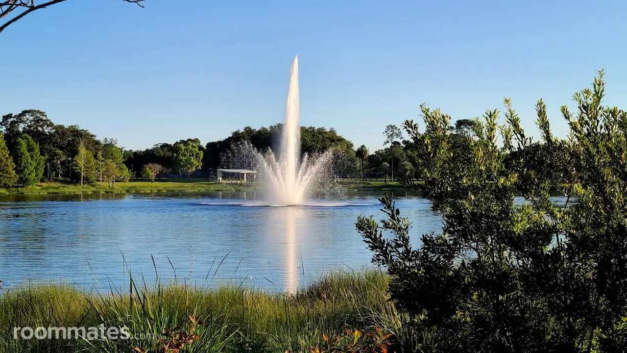 Profile photo 10 of 10