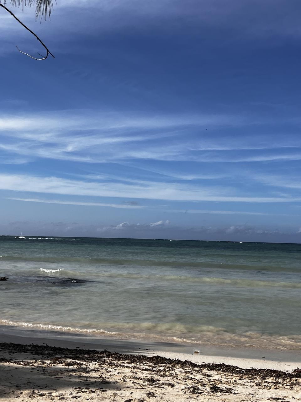 Profile photo 7 of 7