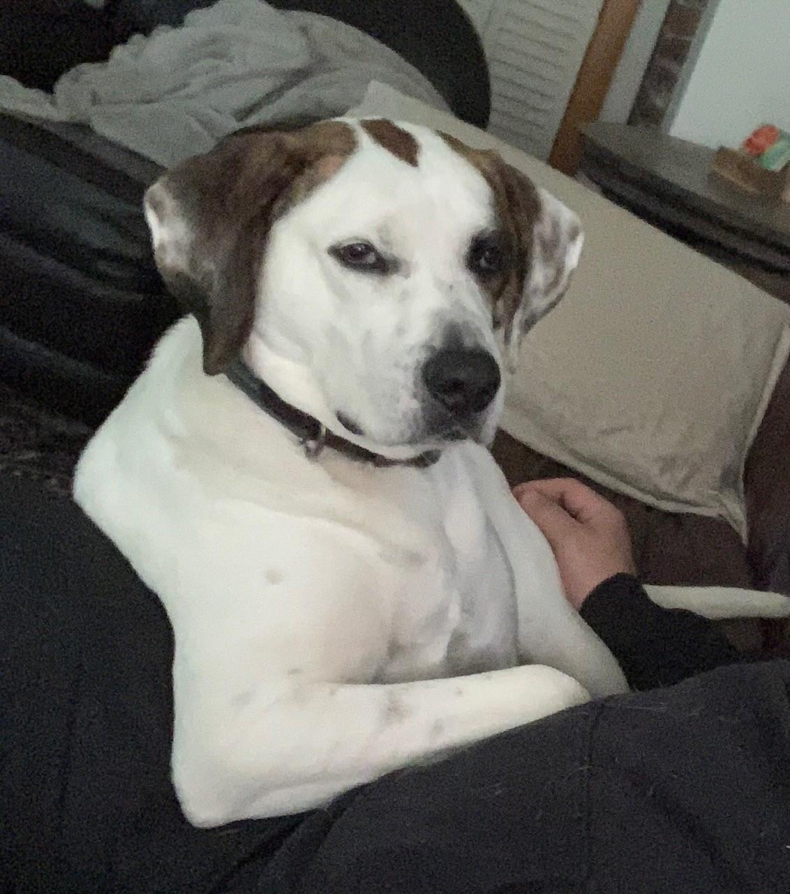 Profile photo 2 of 3