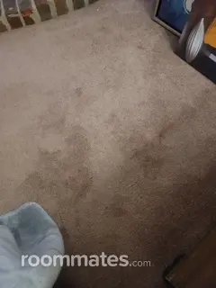 Roommate looking Michigan City, IN, $1000