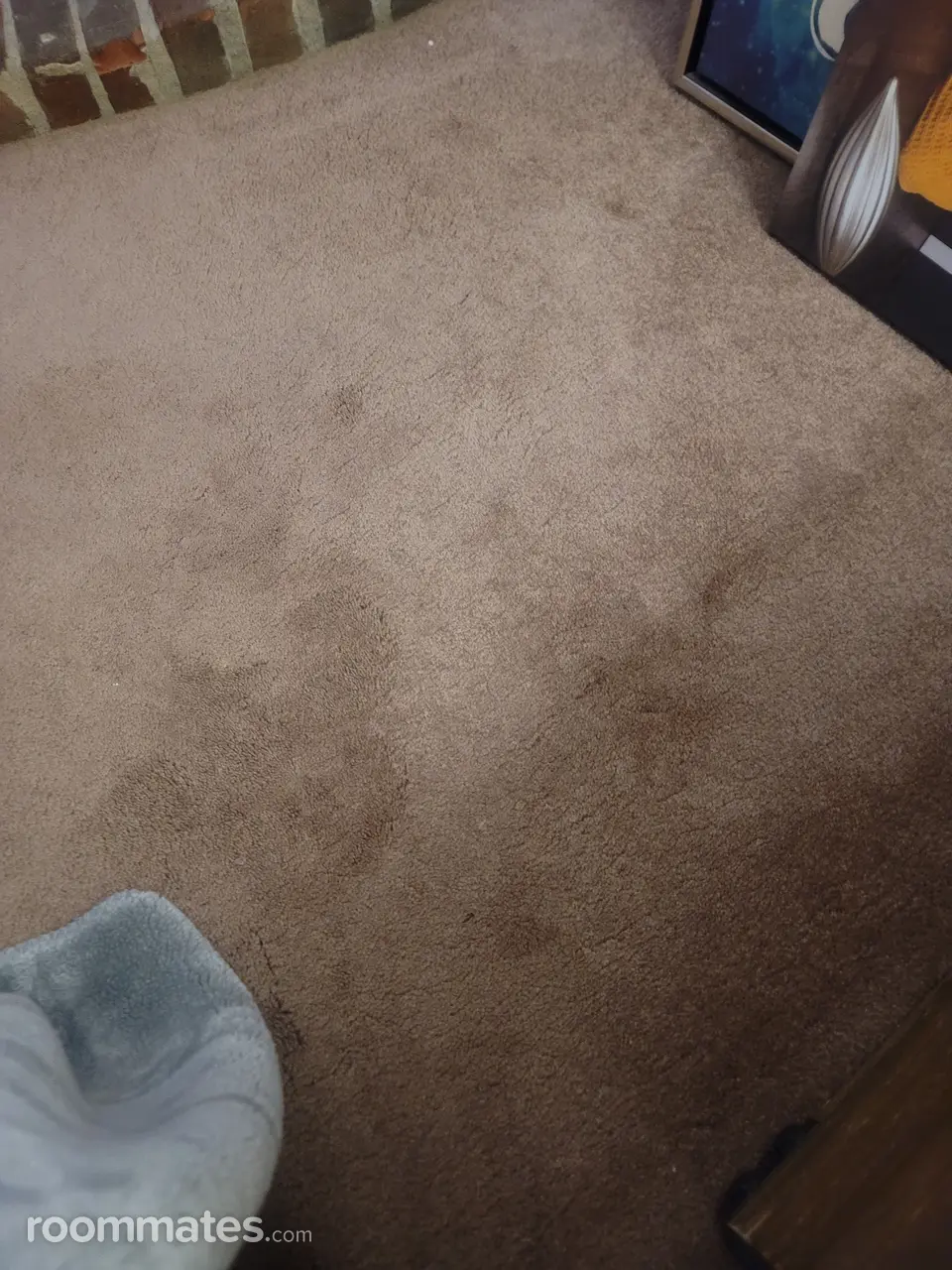 Profile photo 1 of 1