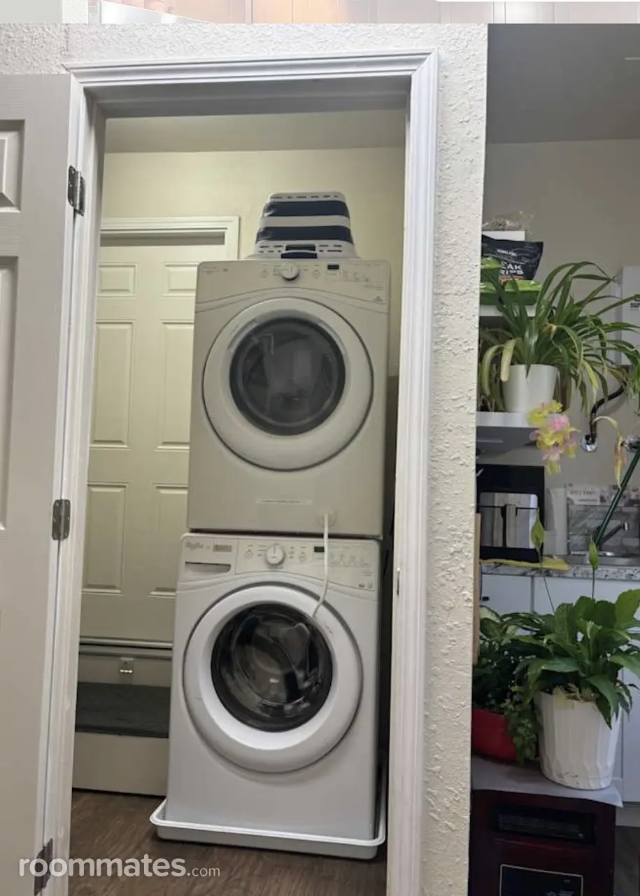 Profile photo 10 of 11