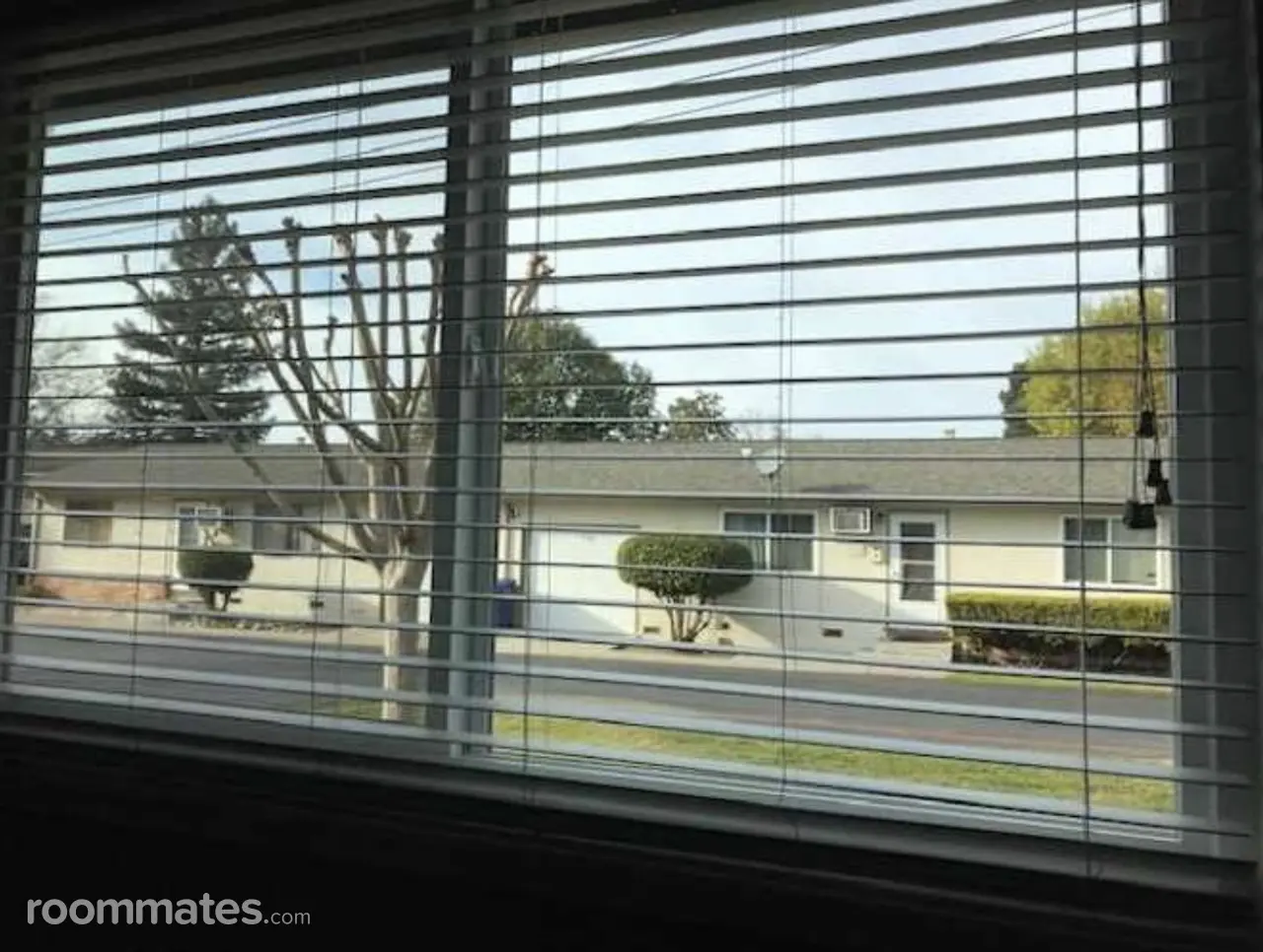 Profile photo 5 of 11