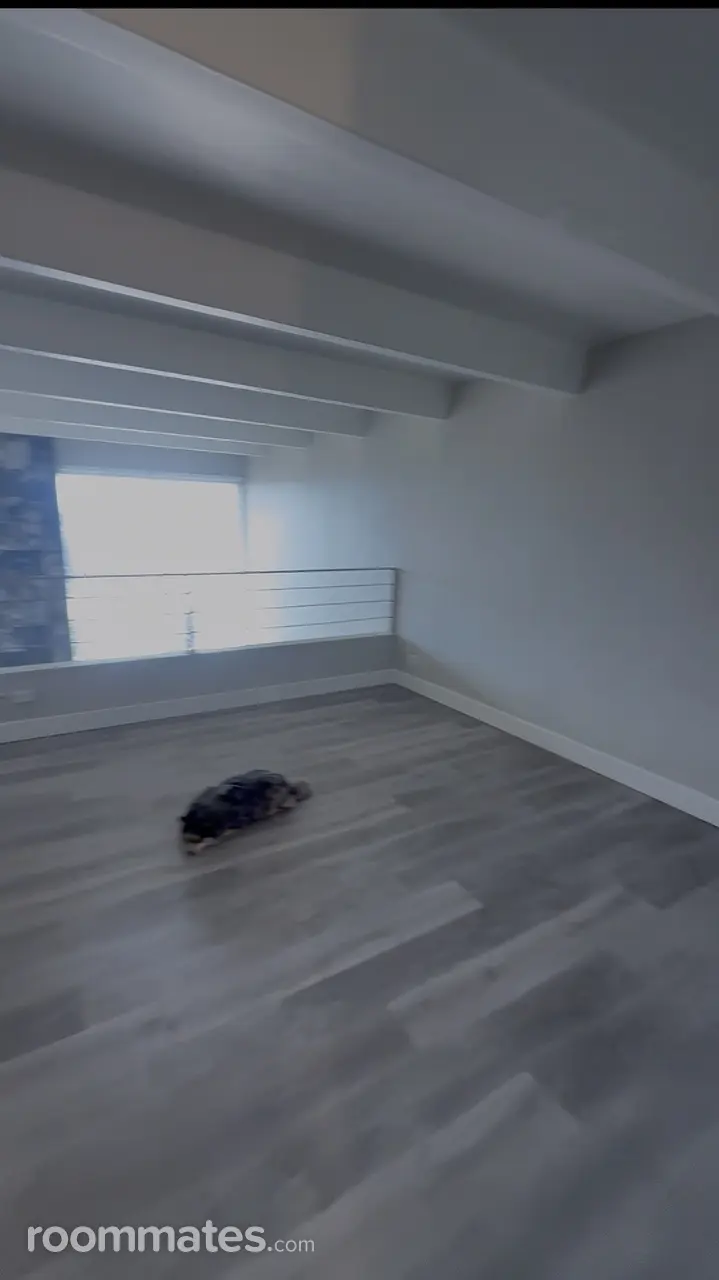 Profile photo 10 of 11