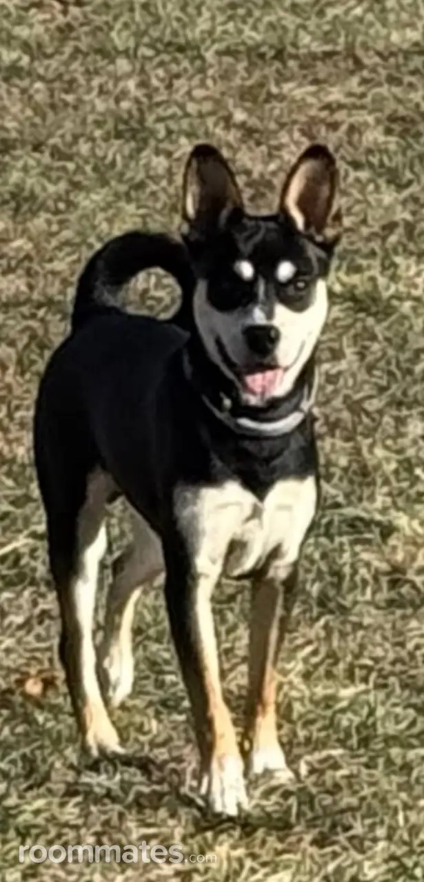 Profile photo 2 of 2