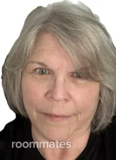 Roommate looking Lowell, MA, $1200