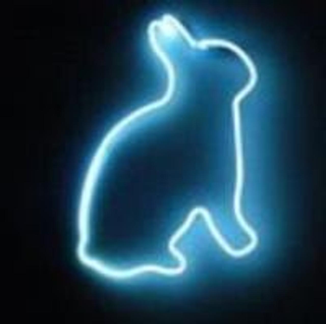 Profile photo 2 of 2