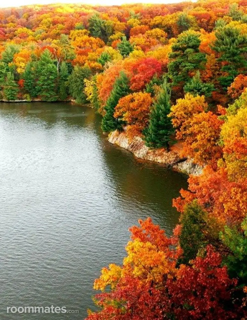 Profile photo 2 of 2