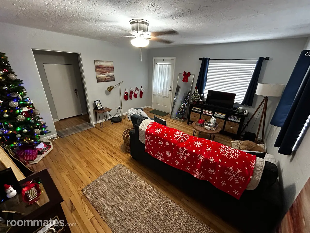 Profile photo 4 of 6