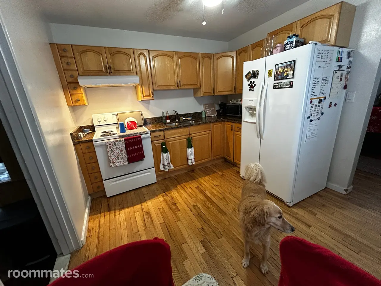 Profile photo 3 of 6