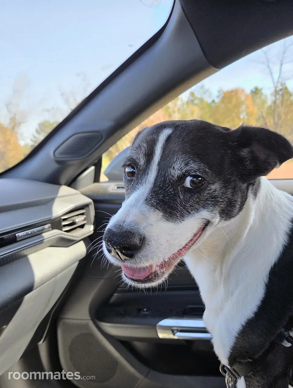 Profile photo 2 of 2