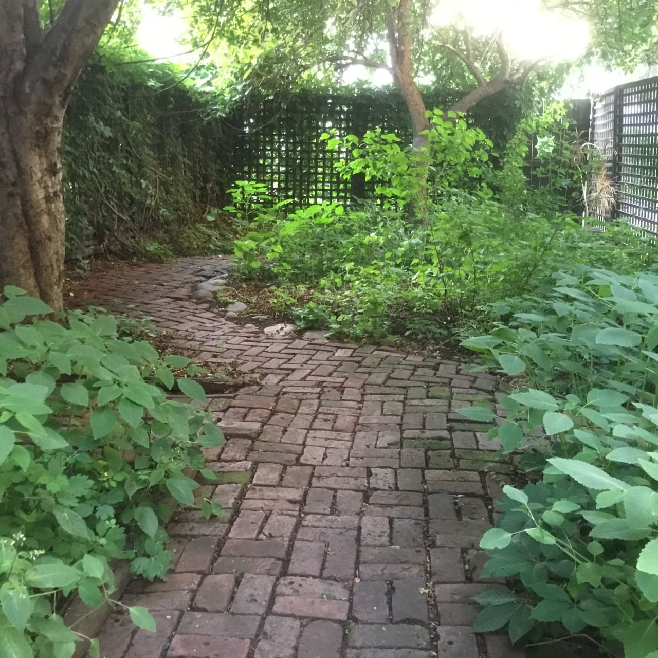 Profile photo 4 of 11