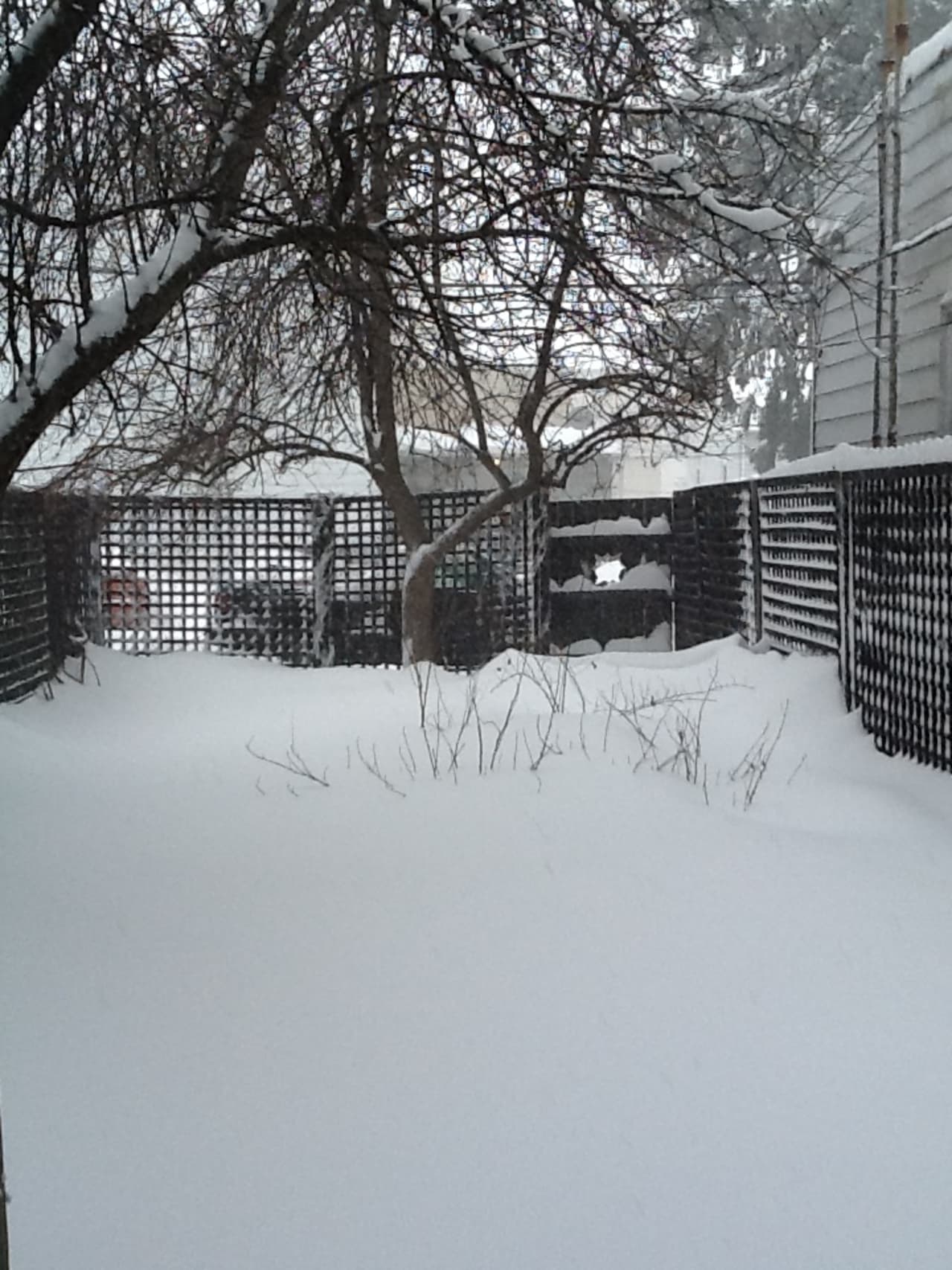 Profile photo 2 of 11