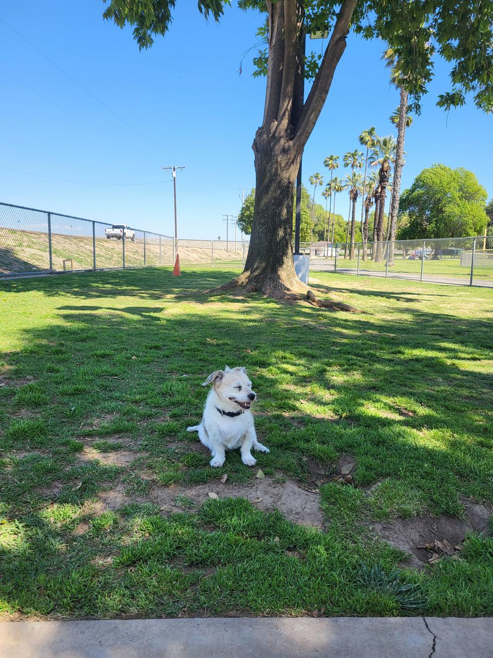 Profile photo 8 of 11