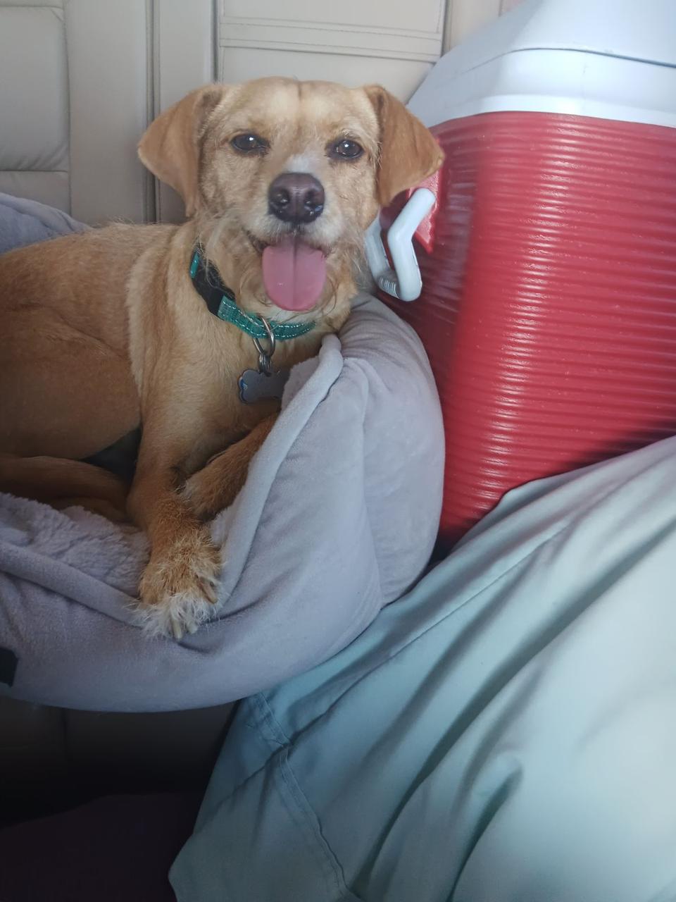 Profile photo 9 of 11