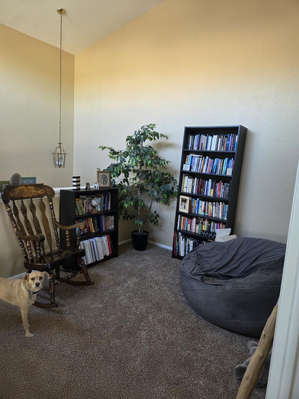 Profile photo 10 of 11