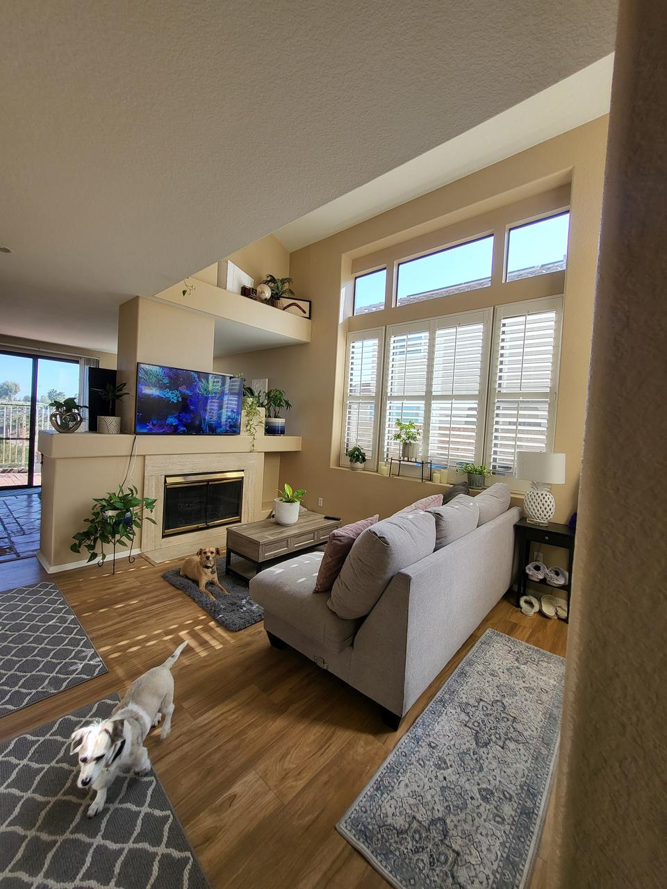 Profile photo 2 of 11