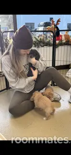 Roommate looking Norwalk, CT, $1000