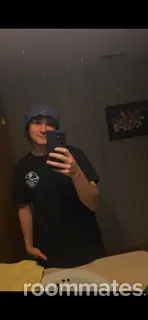 Roommate looking Oak Brook, IL, $1000