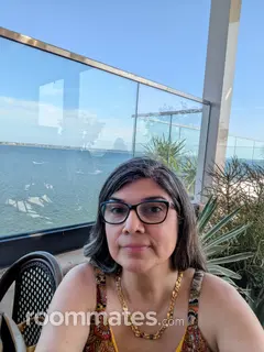 Roommate looking Tampa, FL, $1200