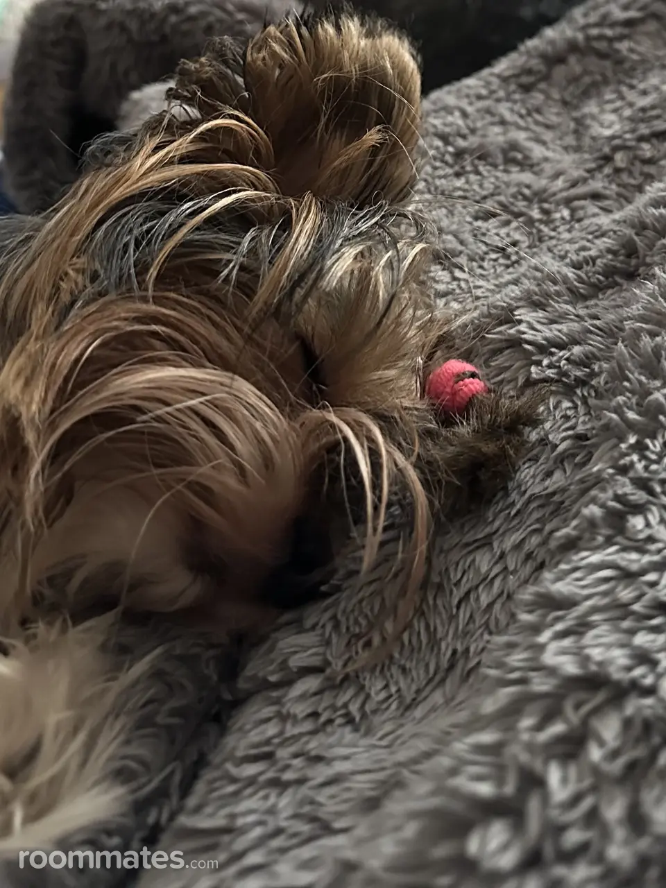 Profile photo 5 of 9