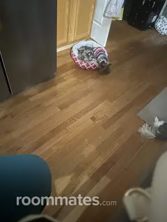 Room for rent in Chester, VA $600, house