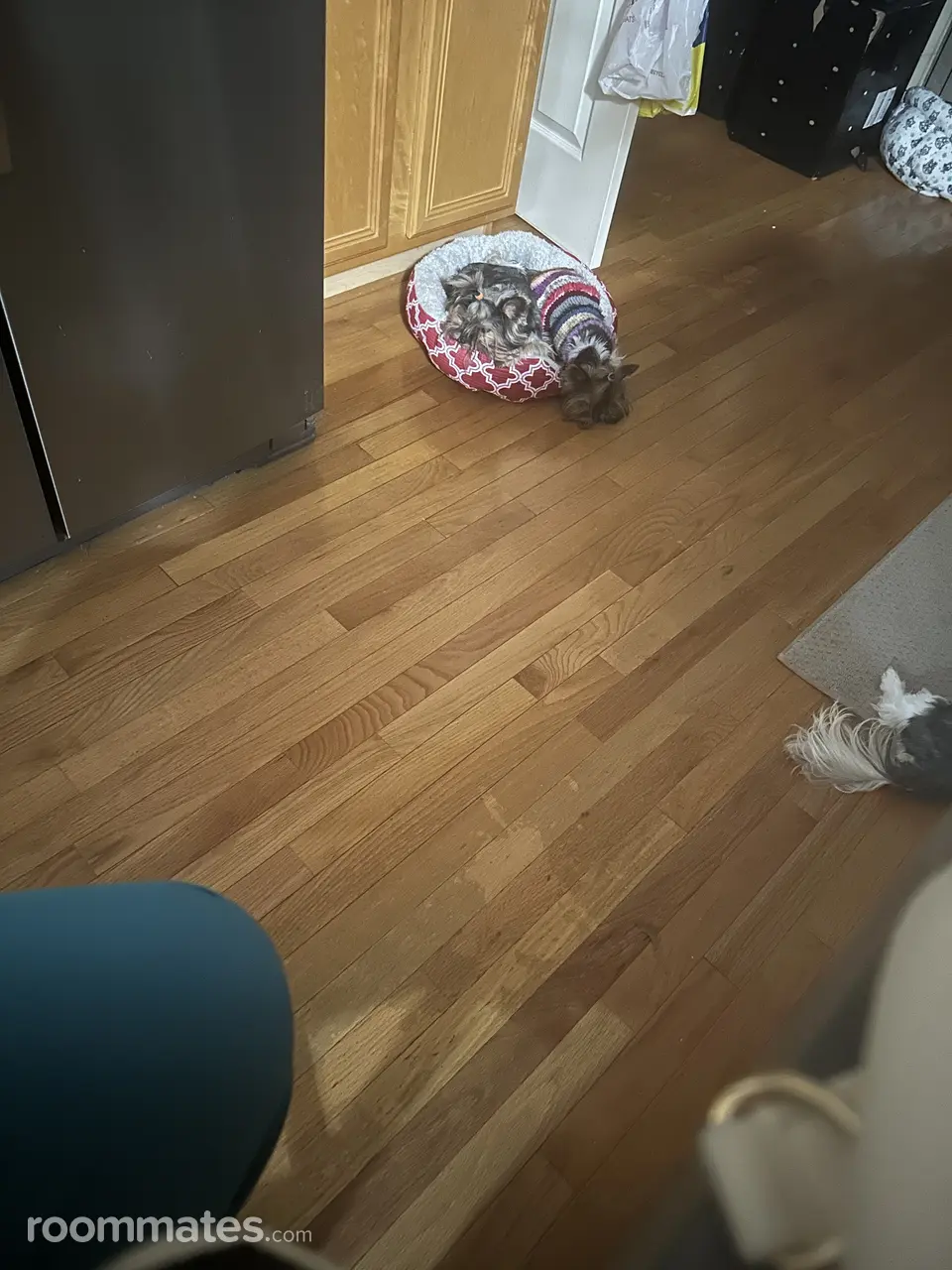 Profile photo 1 of 9