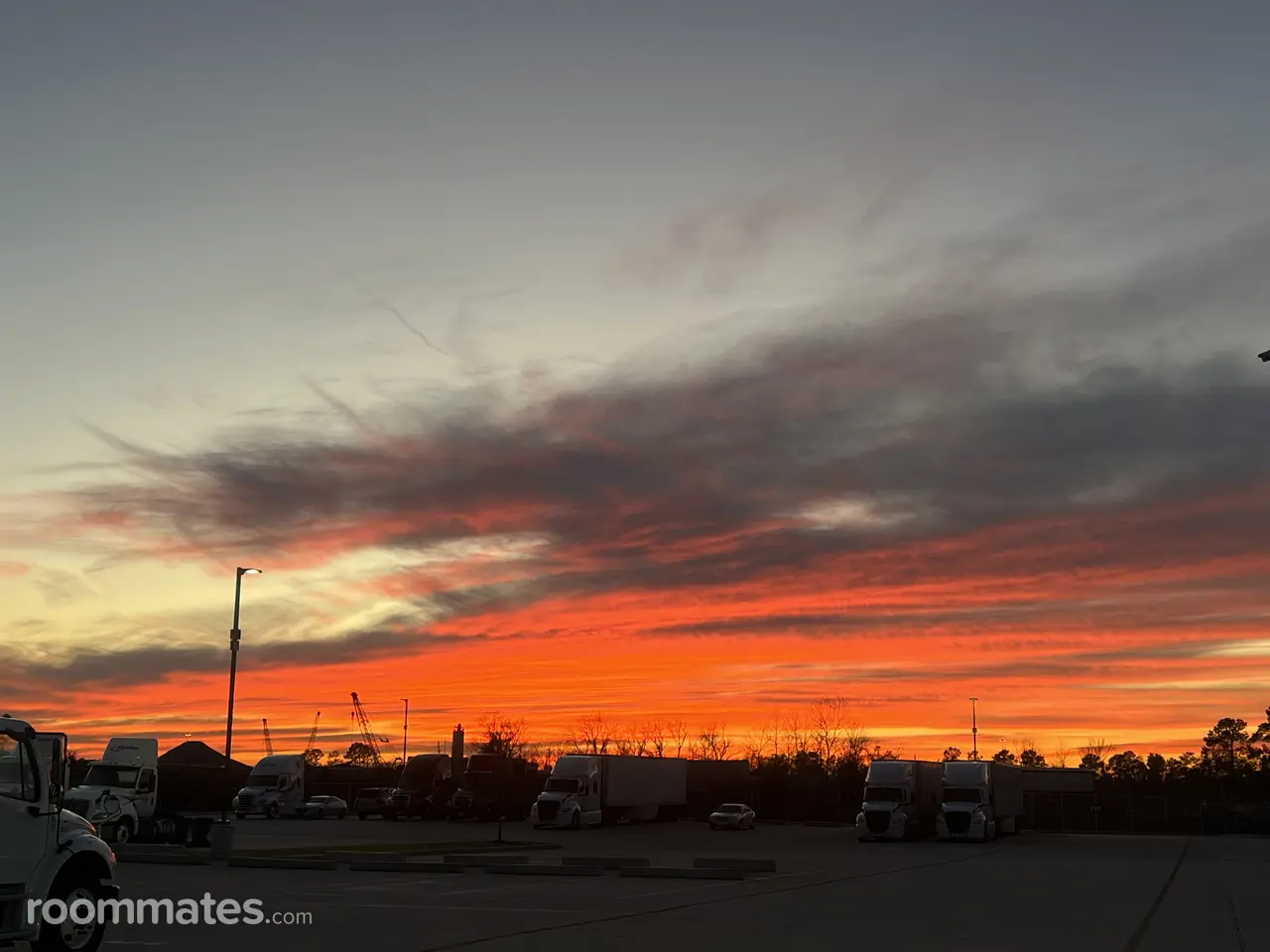 Profile photo 1 of 1