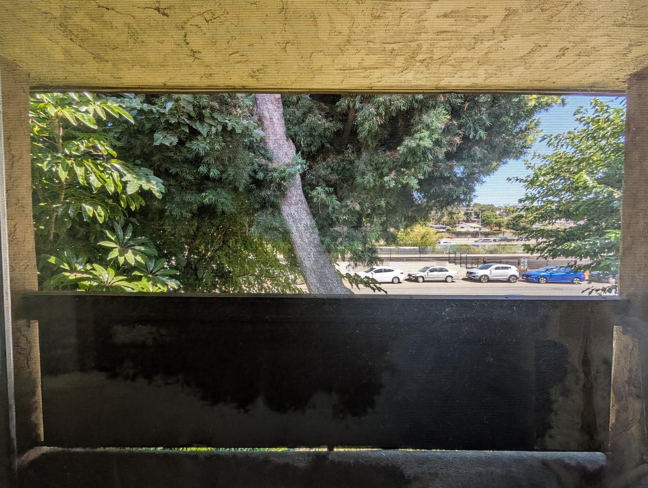 Profile photo 5 of 12