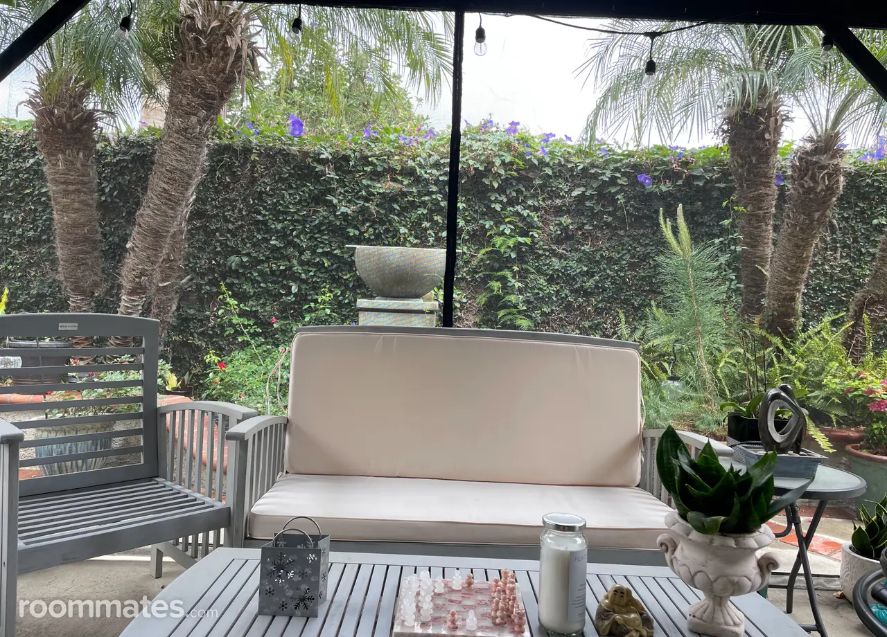 Profile photo 10 of 11