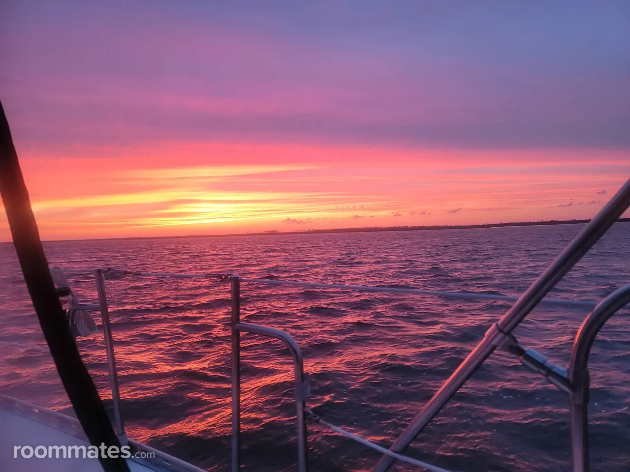 Profile photo 14 of 15