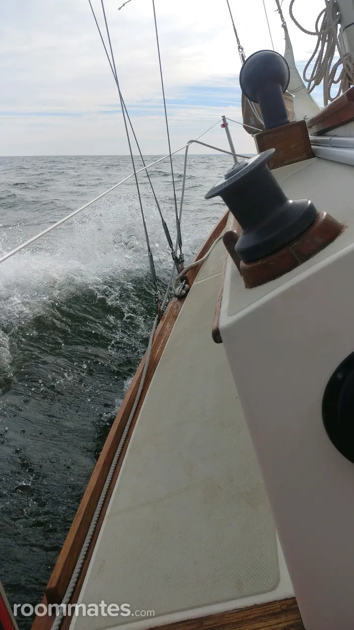 Profile photo 12 of 15