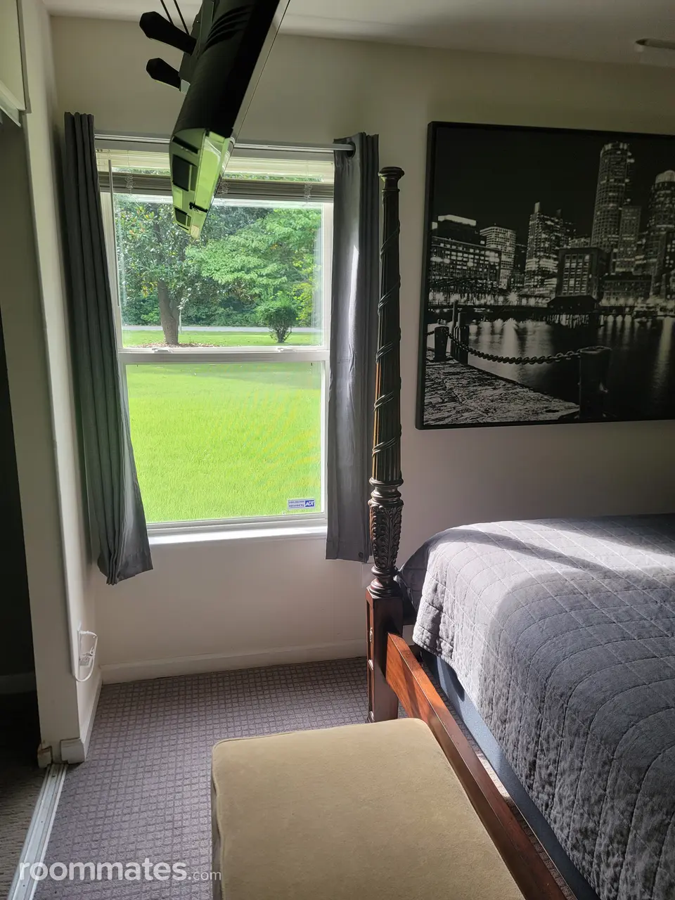 Profile photo 4 of 15