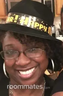 Roommate looking Westmont, IL, $1100