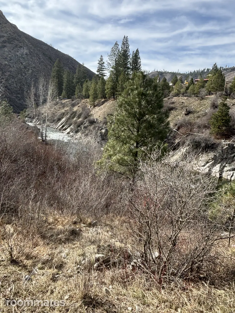 Profile photo 2 of 9