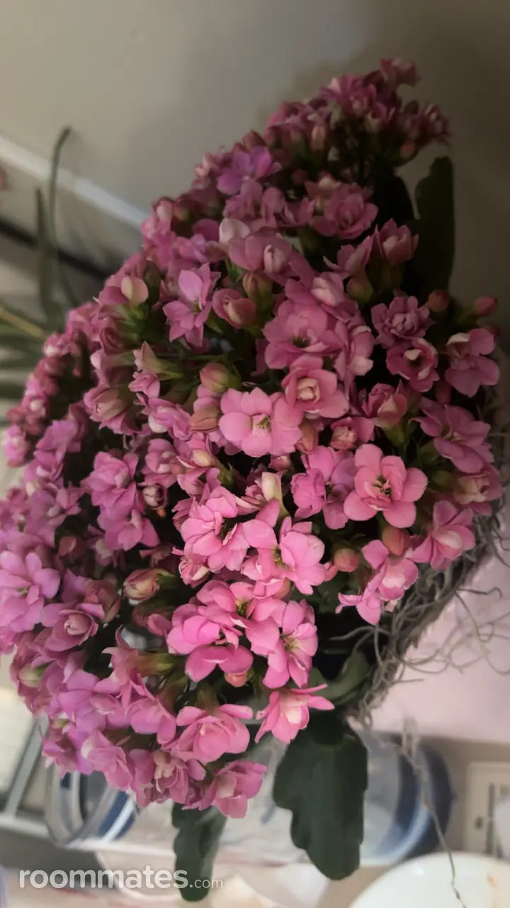 Profile photo 6 of 9