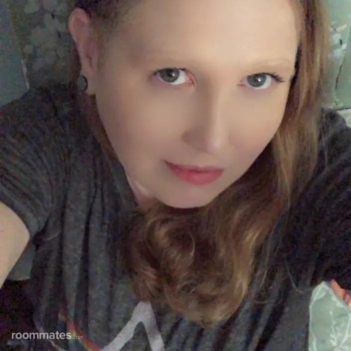 Roommate looking Sarasota, FL, $900