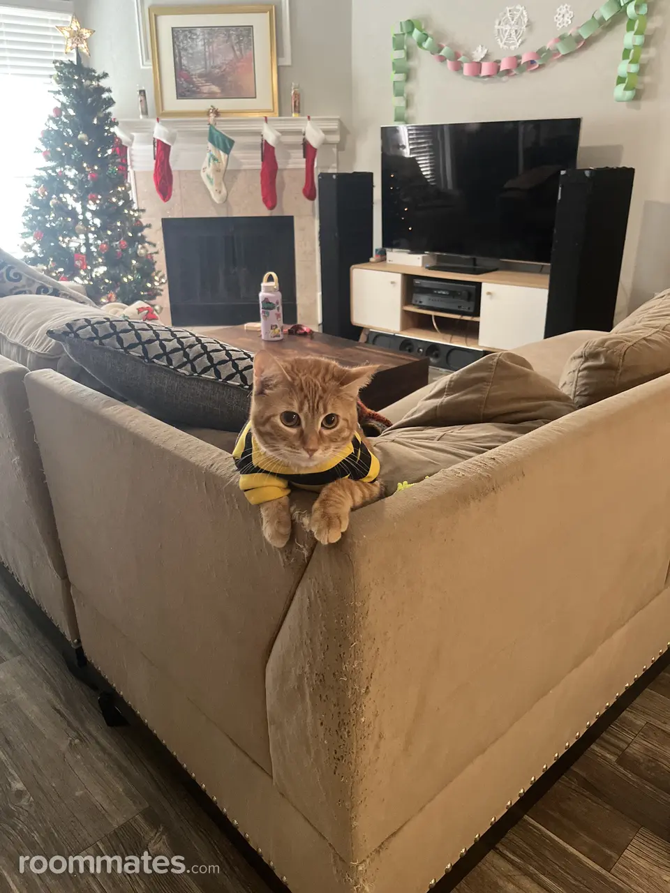 Profile photo 4 of 13